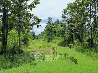 Lush green land with trees, perfect for development or agriculture.