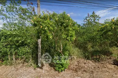 image_rental-11886394