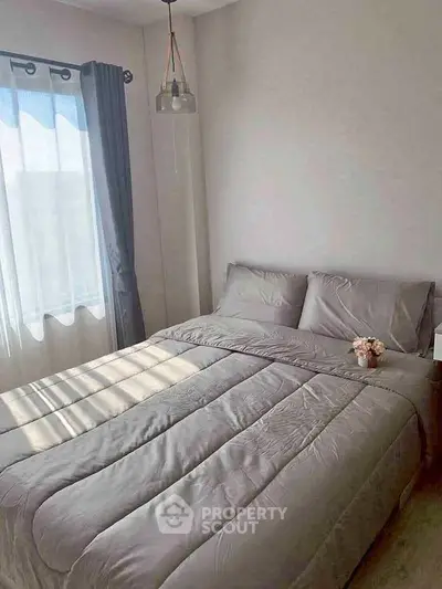 image_rental-29635013