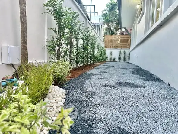 Charming garden pathway with lush greenery and modern landscaping