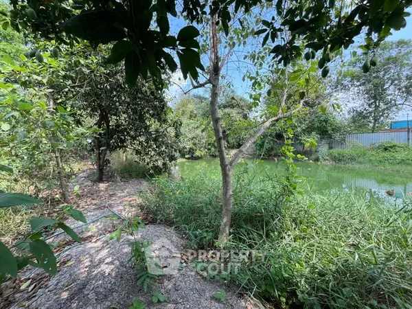 image_rental-16748958