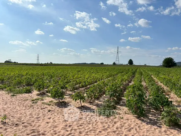 image_rental-27678609