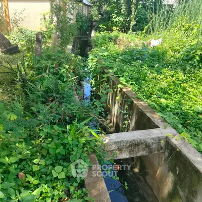 Lush garden area with a small water channel, perfect for nature lovers seeking tranquility.