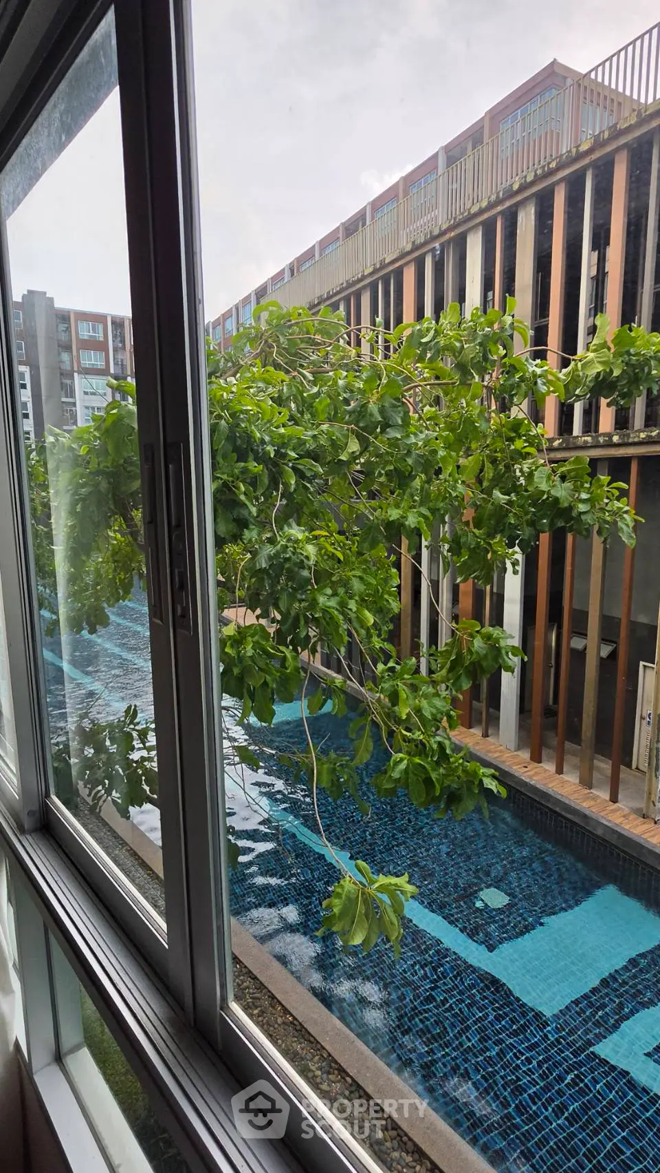 Luxurious poolside view from modern apartment window, showcasing serene outdoor ambiance and contemporary architecture.