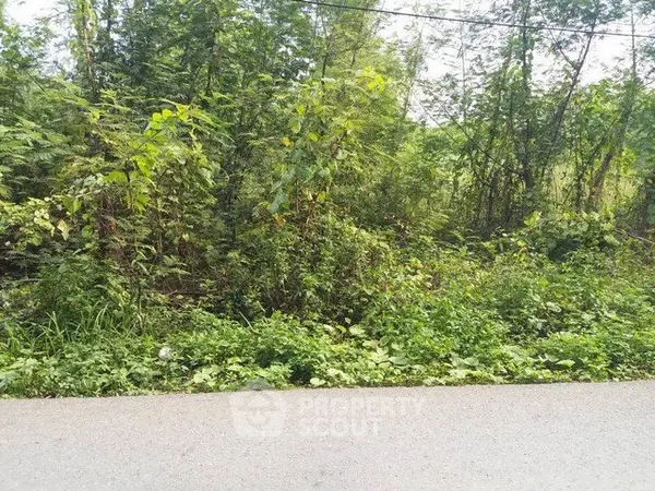 image_rental-31625905