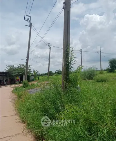 Scenic rural landscape with utility poles and lush greenery under a cloudy sky.