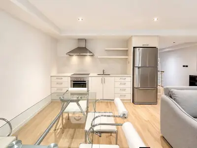Modern kitchen with sleek appliances and open layout in stylish apartment
