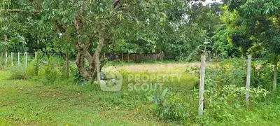 image_rental-27692821