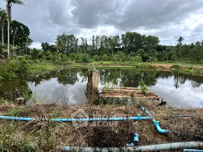 Scenic view of a rural pond surrounded by lush greenery and cloudy sky.