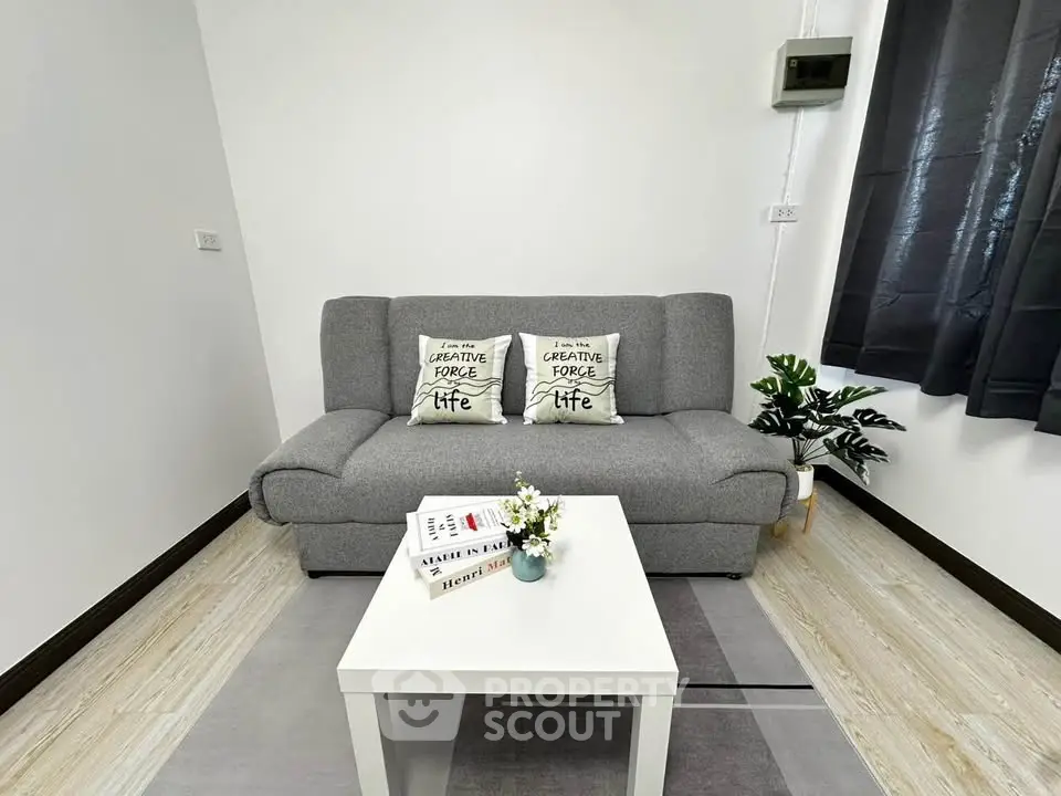 Cozy living room with modern gray sofa and stylish decor