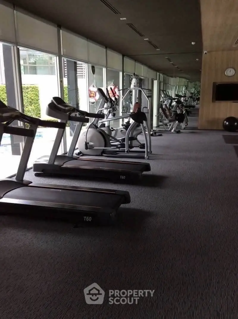 Modern gym with state-of-the-art equipment and large windows overlooking greenery.
