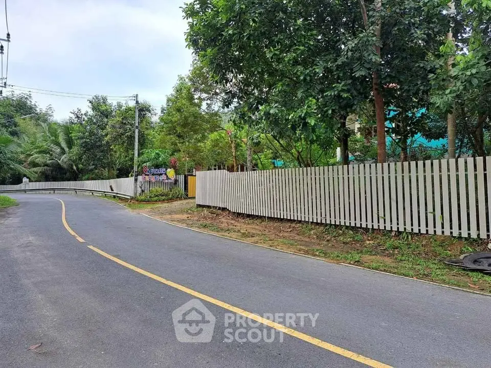 Charming suburban road with white picket fence and lush greenery