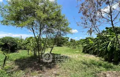 image_rental-21885935
