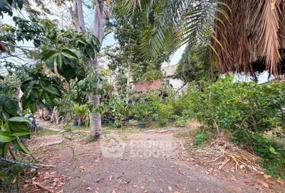 Lush garden area with tropical plants and trees, perfect for outdoor relaxation and nature lovers.