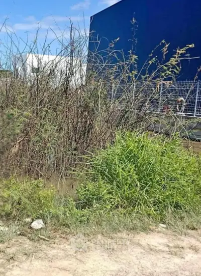 Screenshot 2026-04-15 160050.png