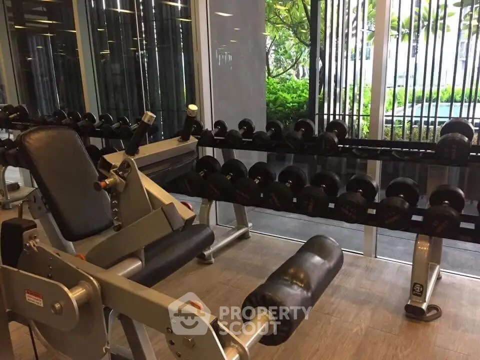 Modern gym with weightlifting equipment and garden view, perfect for fitness enthusiasts.
