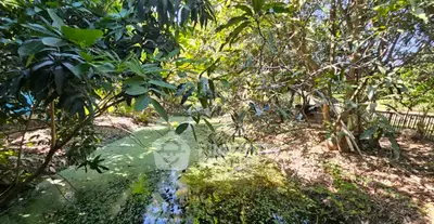 Screenshot 2026-04-15 125447.png