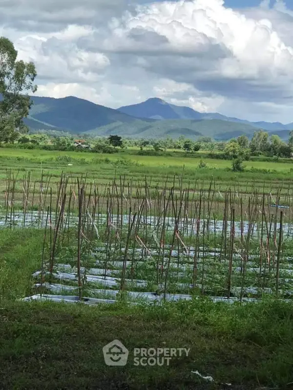 image_rental-27953194