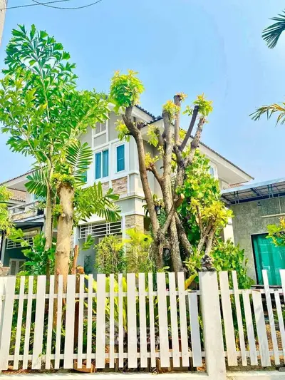 image_rental-27350166