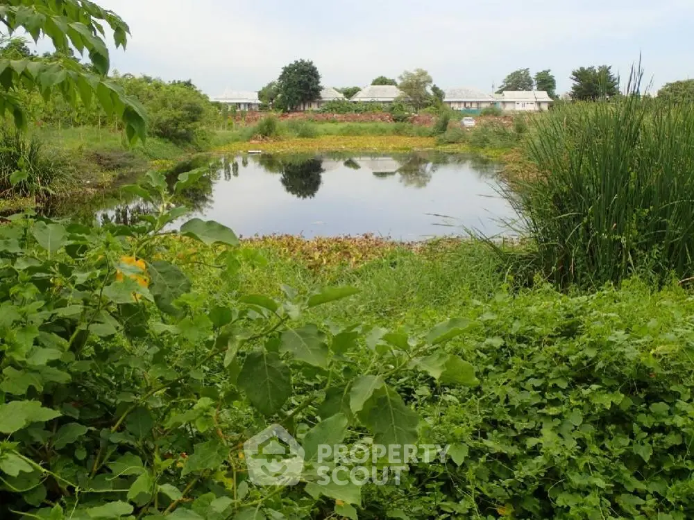 Scenic view of lush garden with pond and distant houses, perfect for nature lovers.