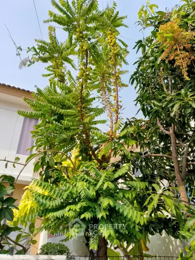Beautiful garden view with lush green trees enhancing the residential property exterior.
