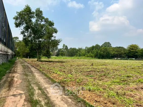 image_rental-17026427