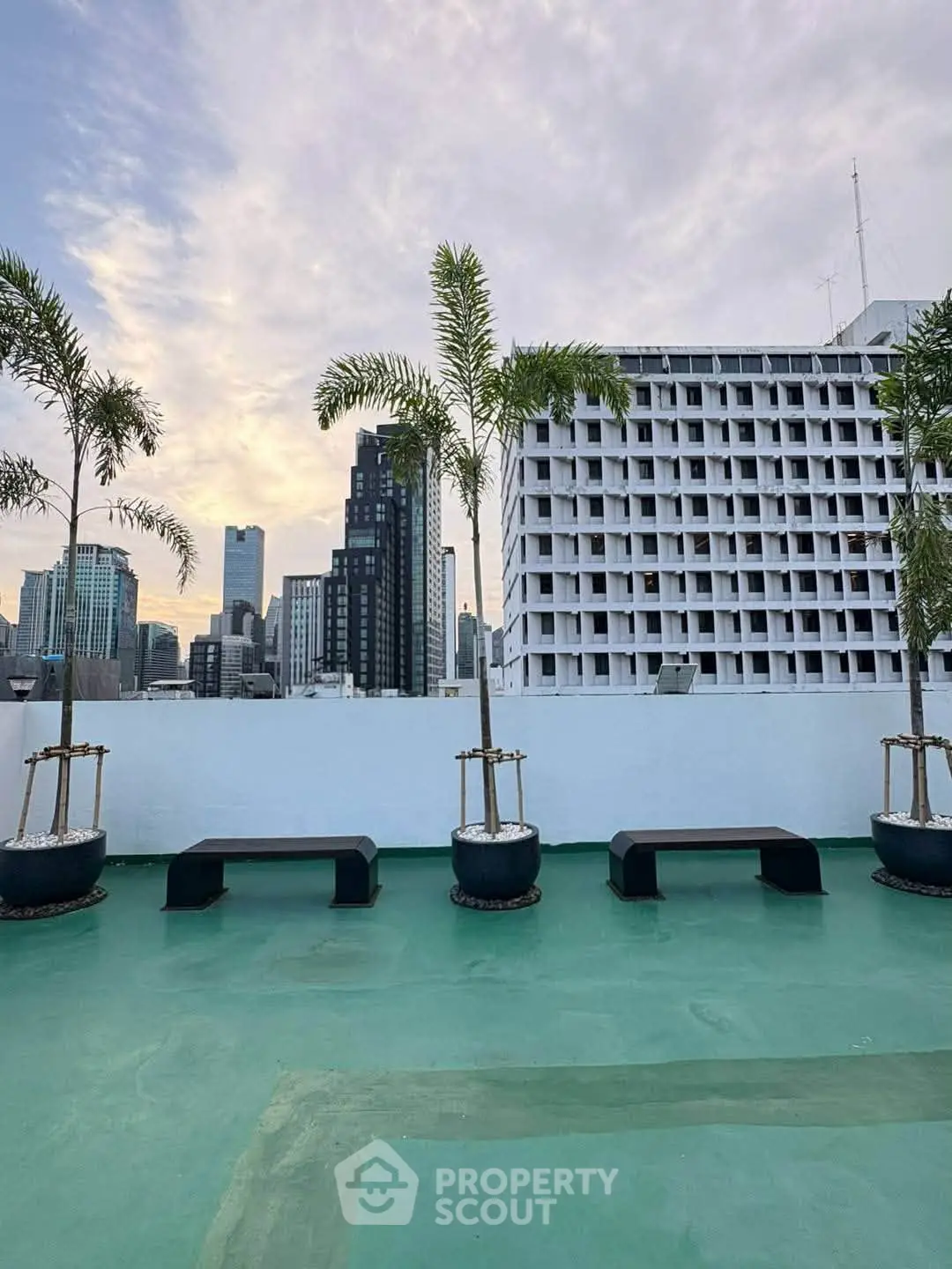 Stunning rooftop view with modern cityscape and palm trees, perfect for urban living enthusiasts.