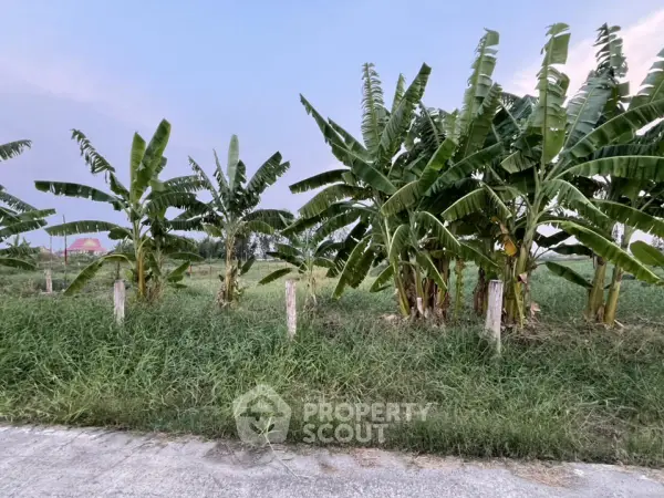 image_rental-23132197