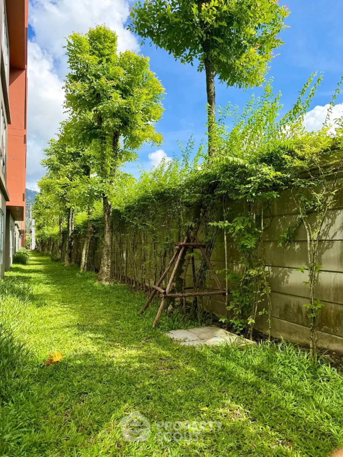 Lush green garden with tall trees and a vibrant lawn, perfect for outdoor relaxation.