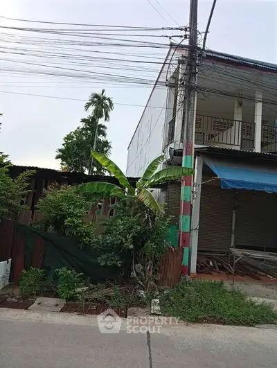 Charming urban property with lush greenery and potential for renovation.
