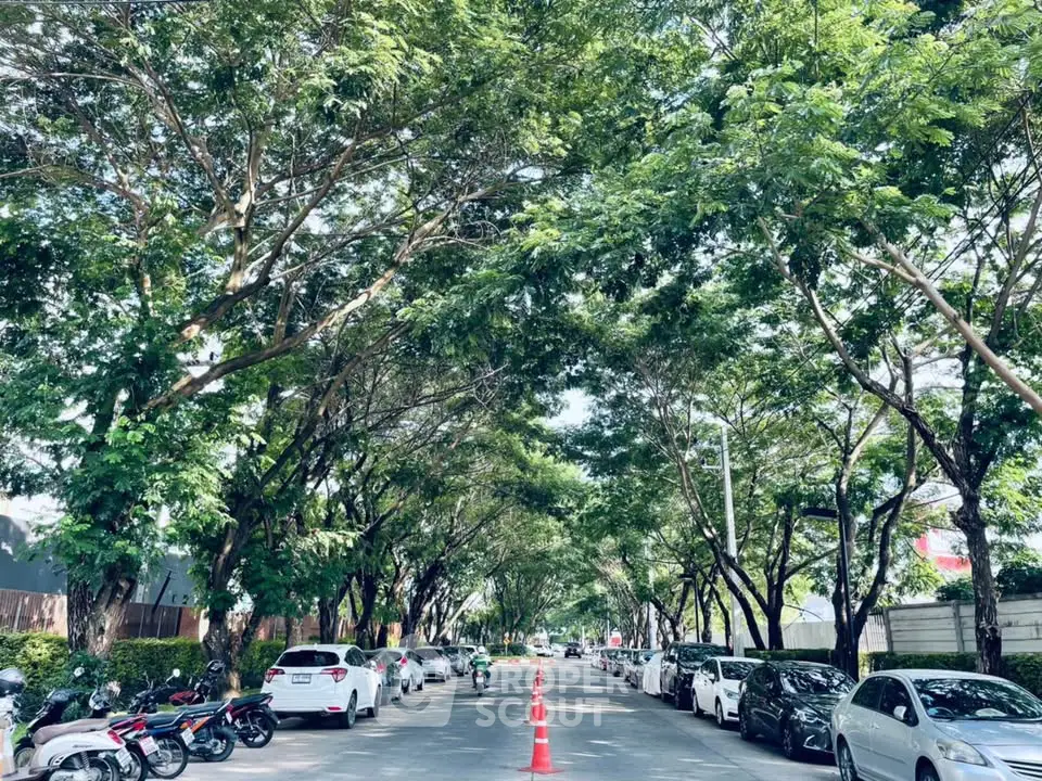 Tree-lined street with parked cars and lush greenery, perfect for serene urban living.