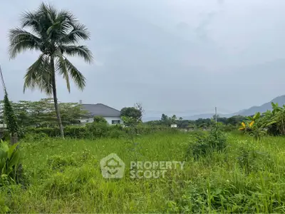Scenic view of lush green land with distant mountains and a palm tree, perfect for real estate development.