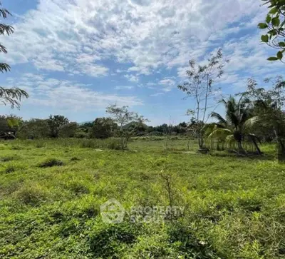Expansive green land with lush vegetation under a clear blue sky, ideal for development.