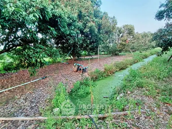 image_rental-27754548