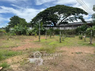 Spacious land plot with potential for development, featuring lush greenery and clear skies.