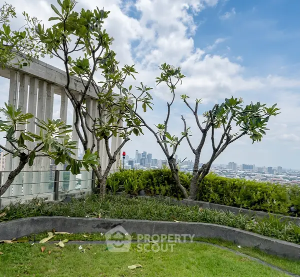 image_rental-36048001