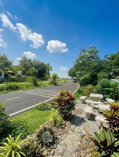Charming roadside garden with lush greenery and scenic view under a clear blue sky.