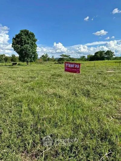 image_rental-31304108