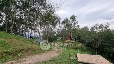 image_rental-28236186