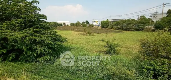 image_rental-24582795