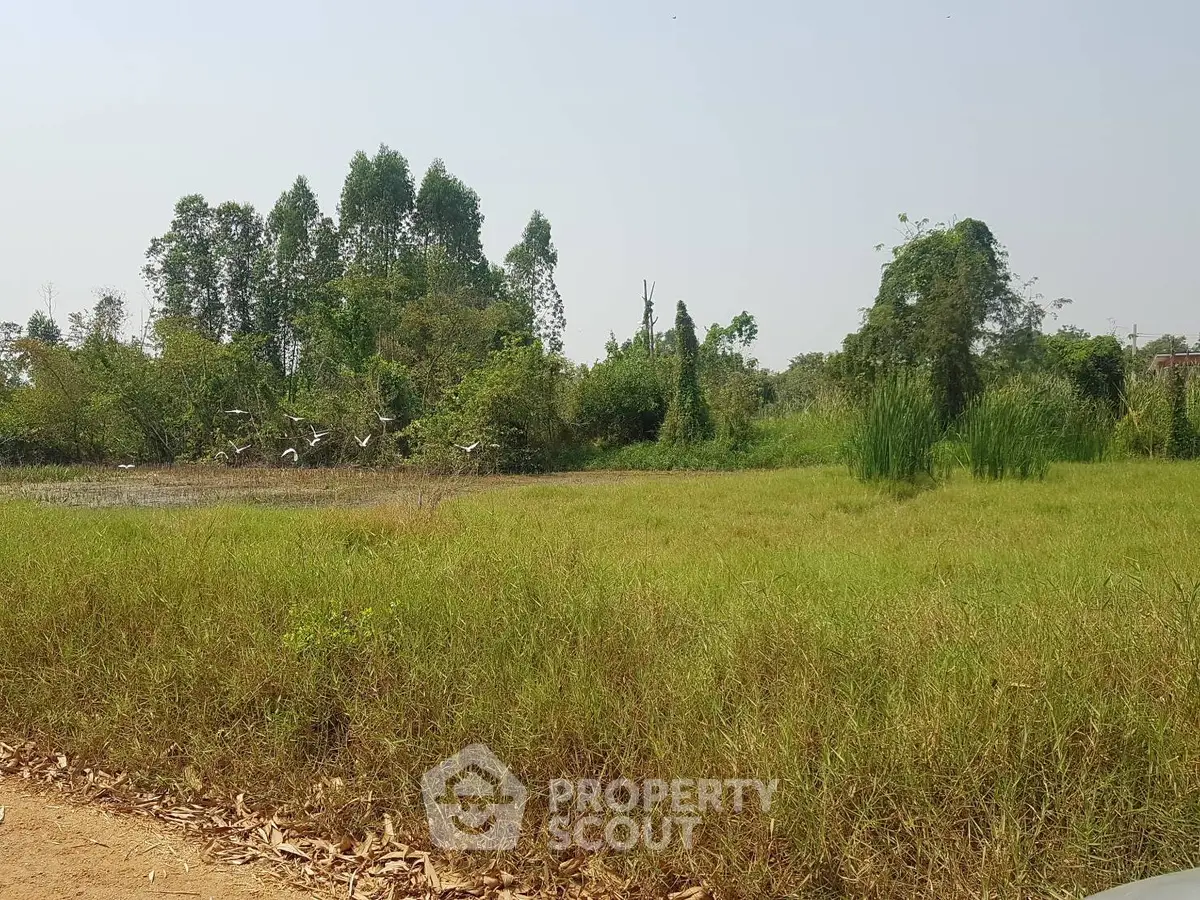 Spacious green land plot ideal for development with lush vegetation and serene surroundings.