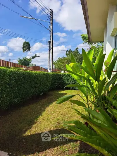 Charming garden view with lush greenery and clear blue sky