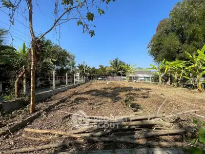 Spacious vacant land with lush greenery, perfect for development or investment opportunities.