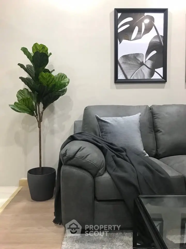 Stylish living room with modern gray sofa, chic decor, and indoor plant for a cozy ambiance.