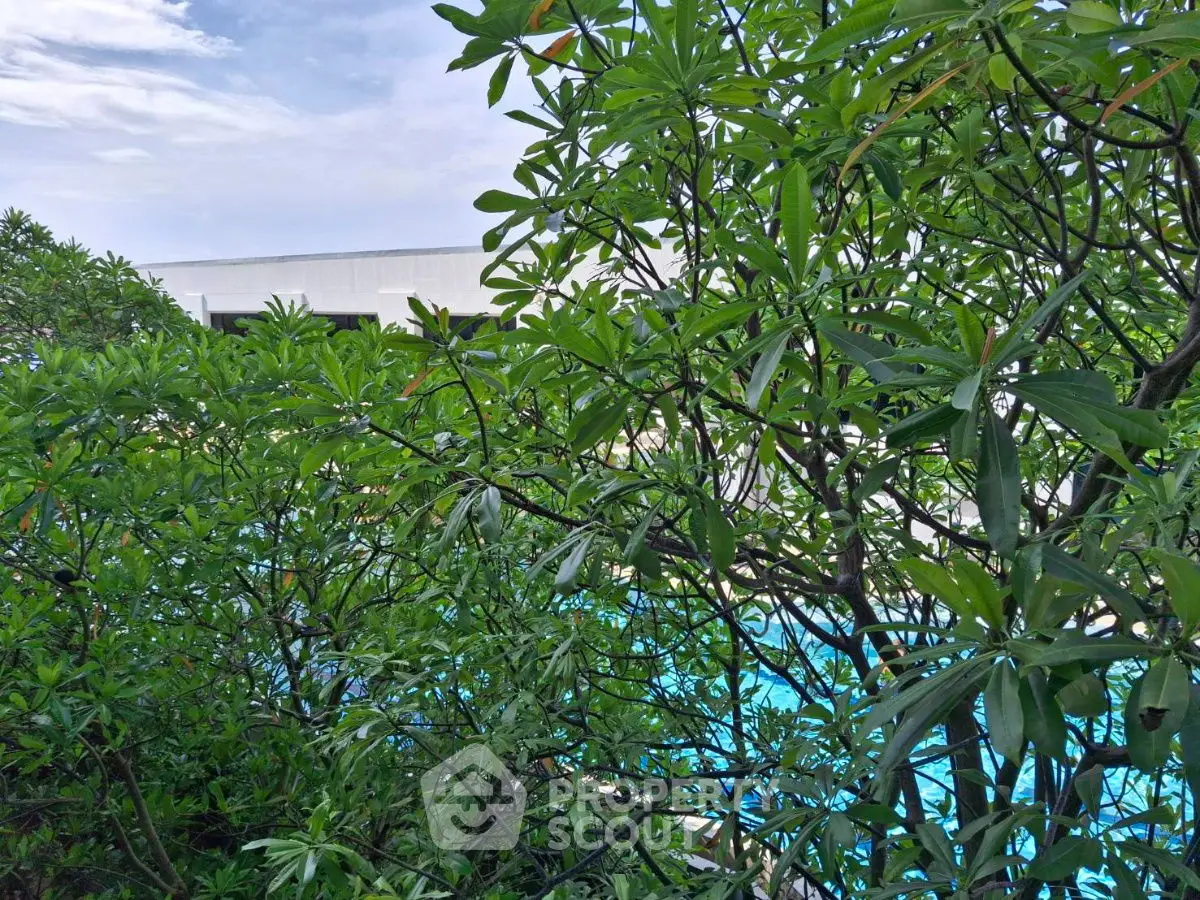 Lush greenery surrounding a serene swimming pool in a modern property setting.