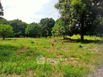 image_rental-13957368