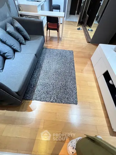 Modern living room with stylish gray sofa and cozy rug on wooden floor