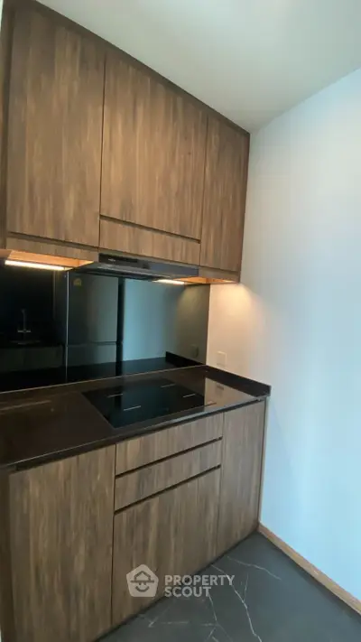 Modern kitchen with sleek wooden cabinets and black countertop