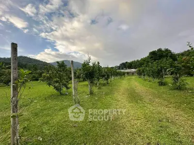 Expansive green landscape with trees and distant hills, perfect for agricultural development.