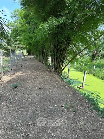 Scenic pathway with lush greenery and tranquil water view, perfect for nature lovers seeking serenity.